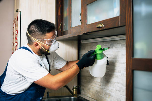 Best Flea Control Services  in Scottsdale, AZ